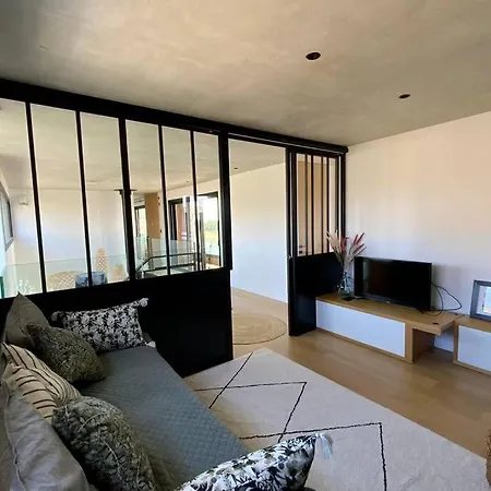 Groomi La Luxueuse - Villa Avec Piscine Et Jacuzzi Sur Perols ! Villa